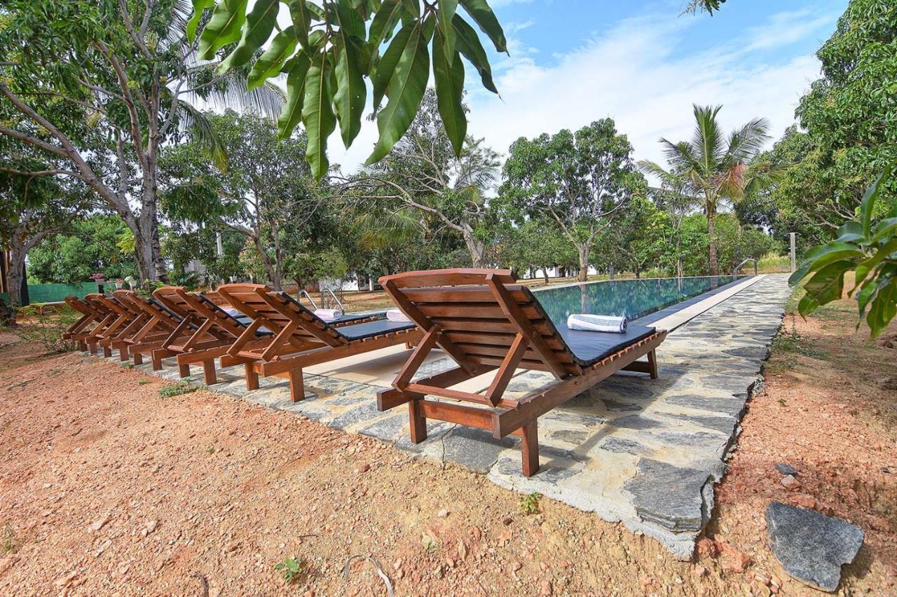 Dambulla Hills Resort Екстериор снимка